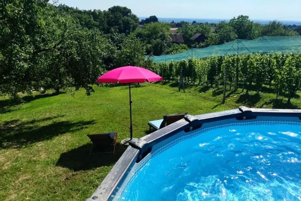 Kuca Za Odmor Villa Cesarica - Zagreb Graberje Ivanićko Exterior foto